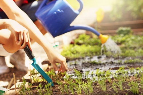 Soft planting and low-maintenance garden renovation in Erith