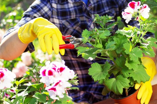 Professional planting services in Erith improving a garden border