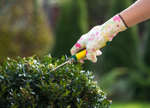 Accessible landscaping website content for Erith visitors