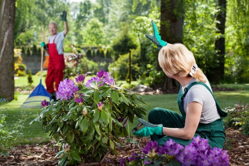 Professional landscapers working on a garden in Erith