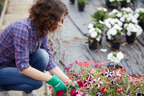 Landscapers Erith team managing green waste in an eco-friendly disposal area