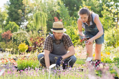 Free quote policy for landscaping and rubbish clearance