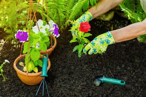 Accessibility request section for Erith landscaping services