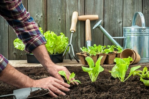 Landscape gardeners in Erith designing a modern garden layout