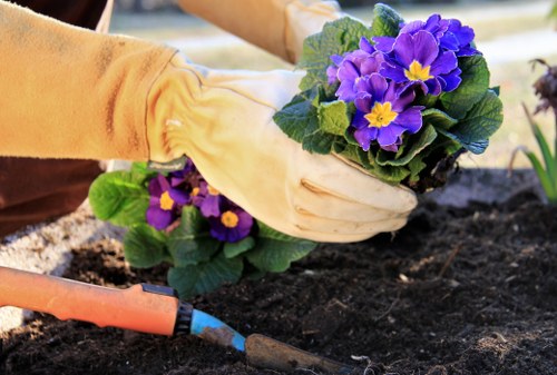 Low-maintenance landscape gardening features in Erith