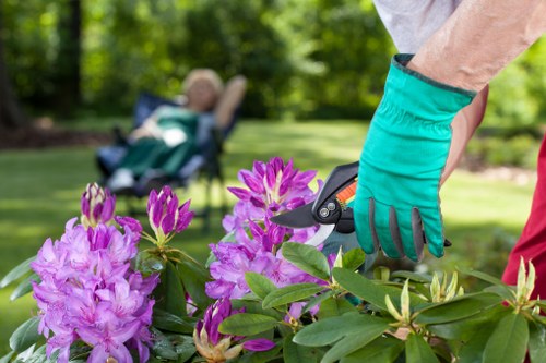 Green outdoor space created by planting services in Erith