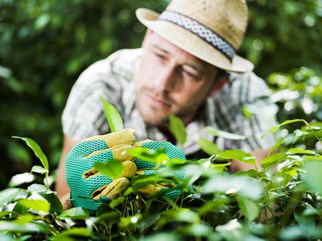 Inclusive website experience for Landscapers Erith