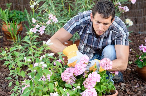 Hard landscaping features in a renovated Erith garden