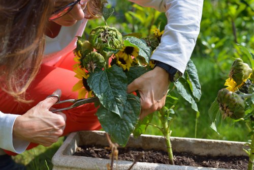 Seasonal plants and shrubs arranged by planting services in Erith