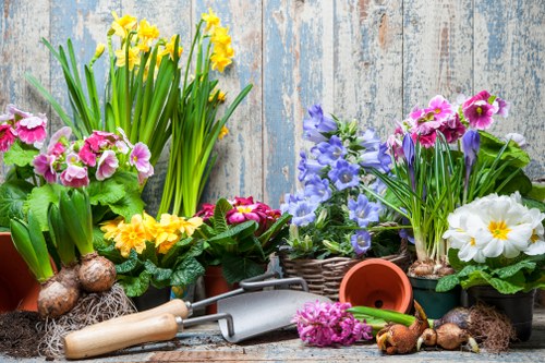 Tools and equipment checked for safe landscaping use
